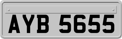 AYB5655
