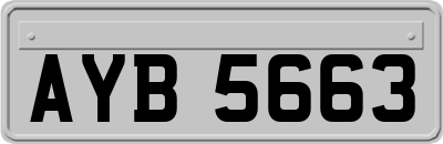 AYB5663