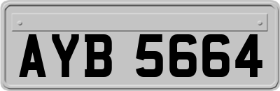 AYB5664