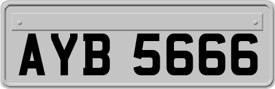 AYB5666