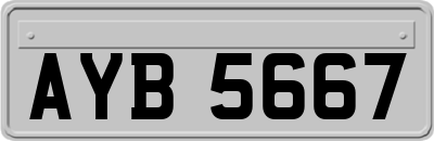 AYB5667