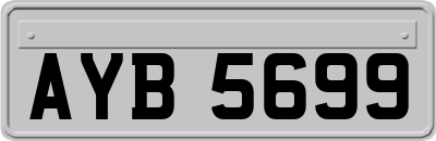 AYB5699