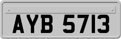 AYB5713