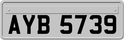 AYB5739