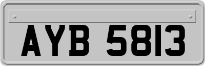 AYB5813