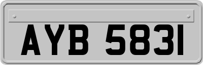 AYB5831