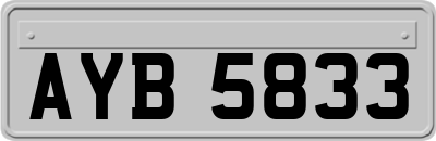 AYB5833
