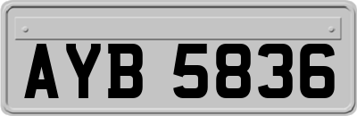 AYB5836