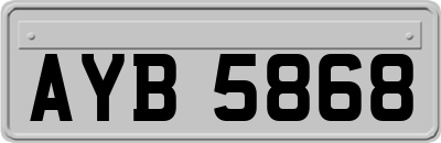 AYB5868