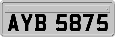 AYB5875