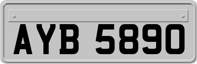 AYB5890