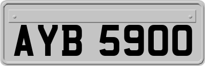 AYB5900