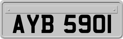 AYB5901