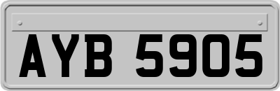 AYB5905