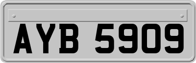 AYB5909