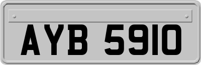AYB5910