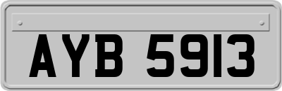 AYB5913