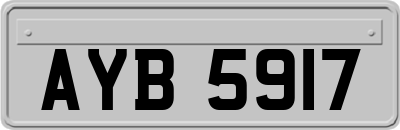 AYB5917