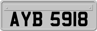 AYB5918