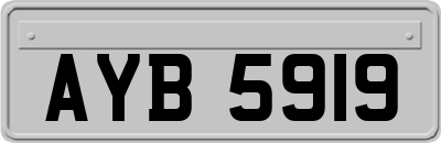 AYB5919