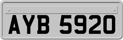 AYB5920