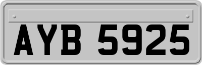AYB5925