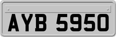 AYB5950
