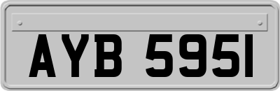 AYB5951