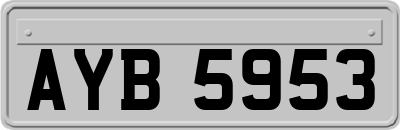 AYB5953