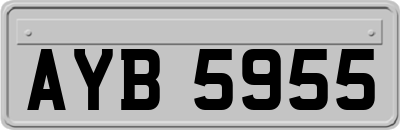 AYB5955
