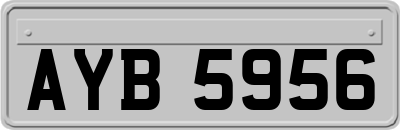 AYB5956