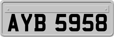 AYB5958