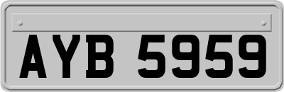 AYB5959