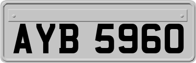 AYB5960