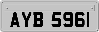 AYB5961