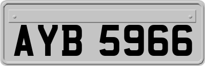 AYB5966