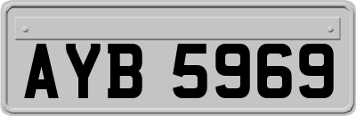 AYB5969
