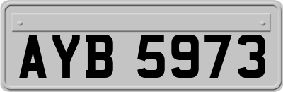 AYB5973