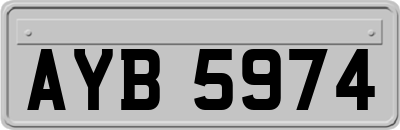 AYB5974