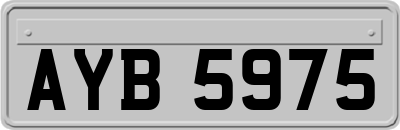 AYB5975