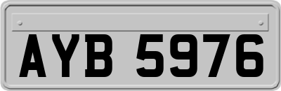 AYB5976
