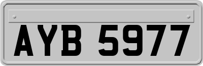 AYB5977