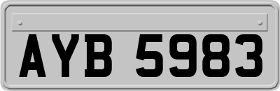 AYB5983