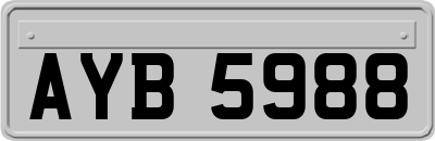 AYB5988