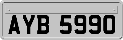 AYB5990