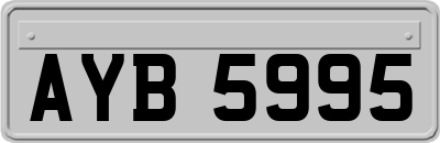 AYB5995