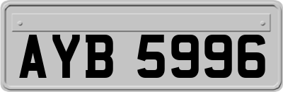 AYB5996