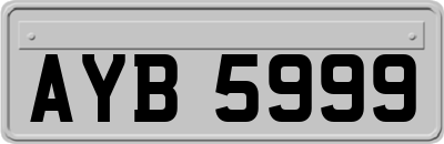 AYB5999