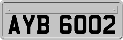 AYB6002