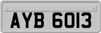 AYB6013